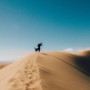 What’s the Point of Self-Improvement Anyway?